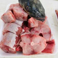 پخش ماهی دریایی و پرورشی درجه یک|ماهی|اهواز, کمپلو جنوبی|دیوار