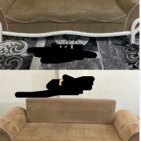 مبل شوی صندلی شوی خودرو با دستگاه