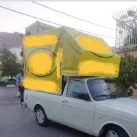 اتاق مسقف وانت پیکان|قطعات یدکی و لوازم جانبی|شیراز, دوکوهک|دیوار