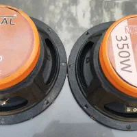 میدرنج هشت|صوتی و تصویری|صومعه‌سرا, |دیوار