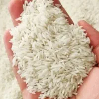 برنج طارم هاشمی درجه یک فریدونکنار|خوردنی و آشامیدنی|تهران, صد دستگاه|دیوار