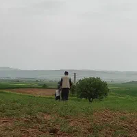 کارت پایان خدمت و گواهینامه و کارت موتور..گمشده