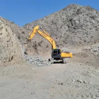 اجاره بیل ۳۲۰