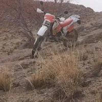 crm250روغن تنه
