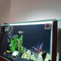 اکواریوم فول کامل تصفیه و پمپ هوا