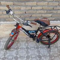 سایز 16 سالم