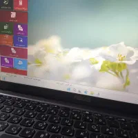 حسابدار خانم پخش مواد غذایی