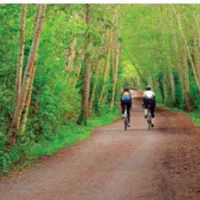 راهنمایی گردش و تفریح