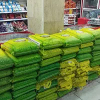 برنج دانه بلند سالند