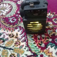 اسپیکر با فلش سالم