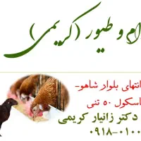 خوراک دام و طیور