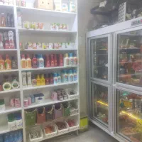 واگذاری پروتئینی