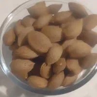 بادام تلخ