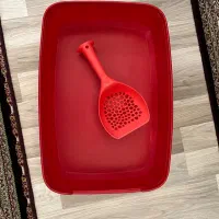 ظرف خاک گربه