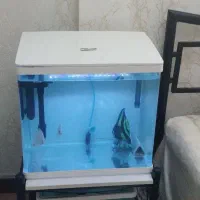 اکواریوم دلسا k500