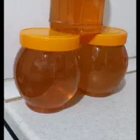 09149837301