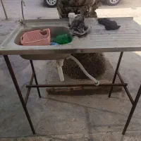 سینک استیل با پایه