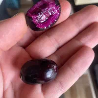 ۱۴۰ تومن بگیر در ۱ دقیقه رایگان