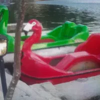 قایق پدالی|قایق و سایر وسایل نقلیه|اسالم, |دیوار