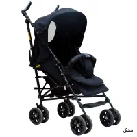 کالسکه عصایی