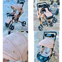 کالسکه دلیجان بنیتا