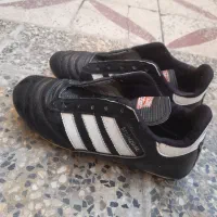 کفش استوک|کیف، کفش، کمربند|شوش, |دیوار