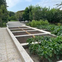 استخدام سرایدار،باغبان|استخدام سرایداری و نظافت|محمودآباد, |دیوار