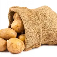 سیب زمینی نیمه اماده تنوری و خلالی