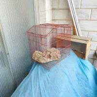 2عدد قفس پرنده