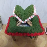 سبزه|خدمات پذیرایی، مراسم|بروجرد, |دیوار