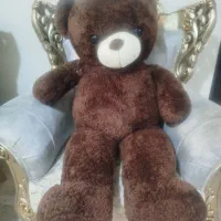 خرس تدی|اسباببازی|نسیمشهر, |دیوار