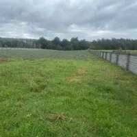 کارگر کشاورزی دائم