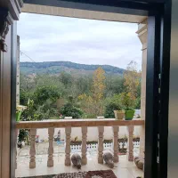 فروش ویلا پلاک یک جنگل ویو بسیارزیبا|فروش خانه و ویلا|سیاهکل, |دیوار