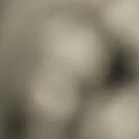 خط تلفن ثابت رند۳۲۲۳۲۲۹۵