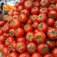 بارچین حرفه ای میوه فروشی حقوق خوب