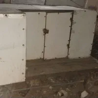 گارجیگرکی بسیار سالم