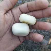 یک جفت سنگ اسیاب|کلکسیون اشیاء عتیقه|خان ببین, |دیوار