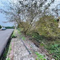 زمین 500 متری طلایی ویلا بساز ، لوکس زندگی کن|فروش زمین و ملک کلنگی|رشت, بالاکویه|دیوار