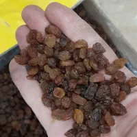 کشمش تاکستان