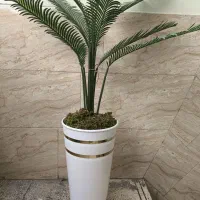 درختچه زیبا