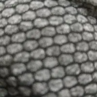 جویای کار هستم