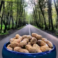 بادام درجه یک آستانه اشرفیه|خوردنی و آشامیدنی|قشم, |دیوار