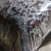 خرما مخصوص حلوا وچنگال داخل پلاستیک|خوردنی و آشامیدنی|دامن, |دیوار