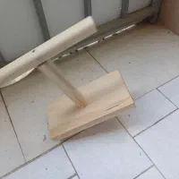 الاکلنگ پرنده