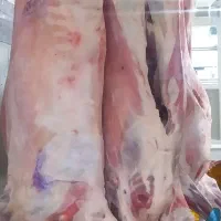 قصاب تیکه کار