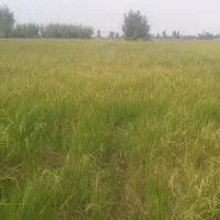 فروش زمین در ۱۰کیلومتری تبریز