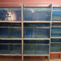 آکواریوم سالنی|ماهی|محمدشهر, زیبادشت|دیوار