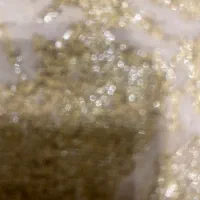 فروش رمین زراعی قلعه جوق پشت باغ نور