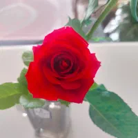 نیازبه وام فوری