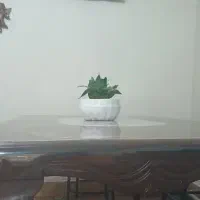 میزناهارخوری